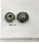 Click for 1 image(s) for this accession. FRUIT